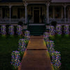 Solar Firework Garden Lights