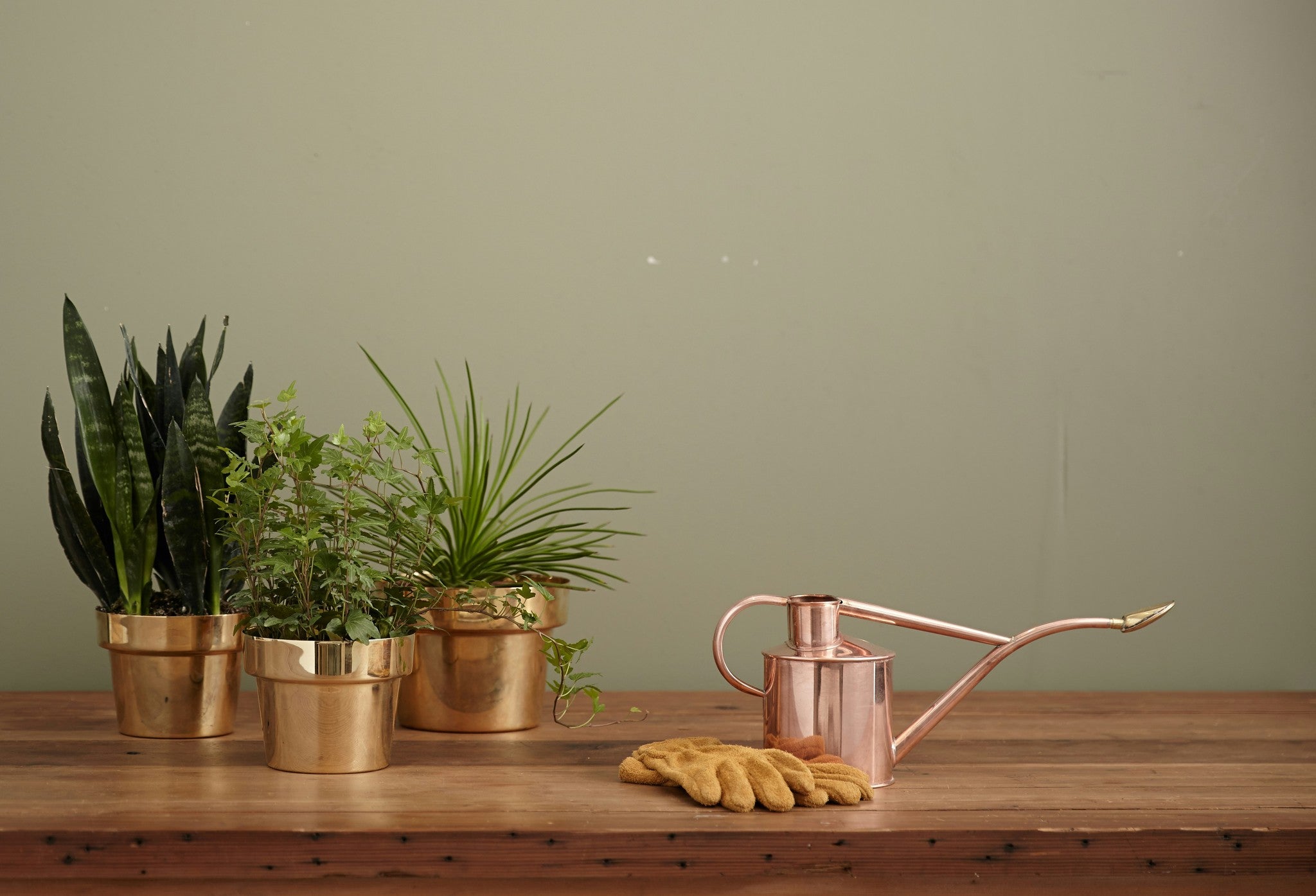 Your home, sorted.